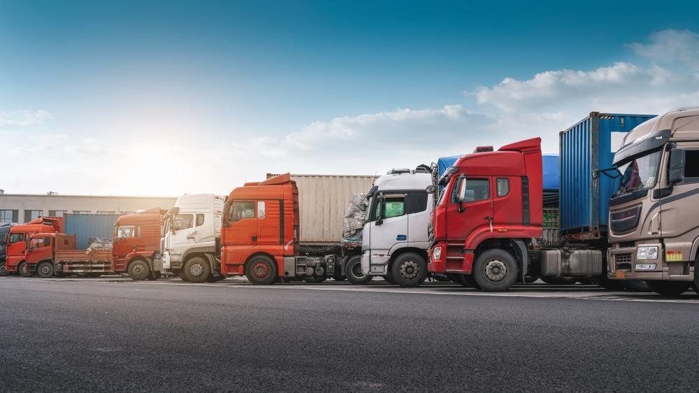 Business Shipping in Egypt: Reliable Solutions for Companies